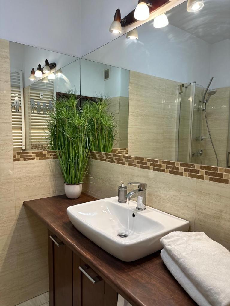 Apartament Przy Rynku Poznań Exteriör bild