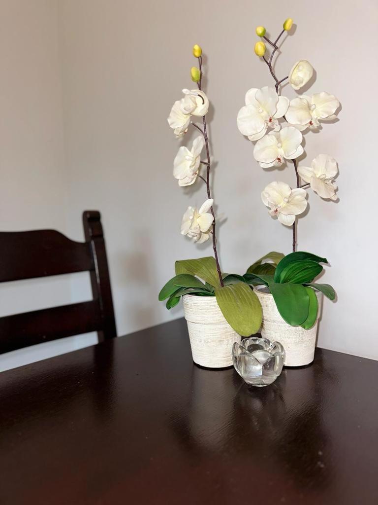 Apartament Przy Rynku Poznań Exteriör bild